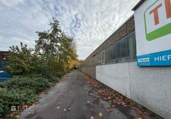 455779-Vorschaubild3