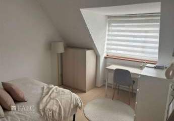 475891-Vorschaubild2