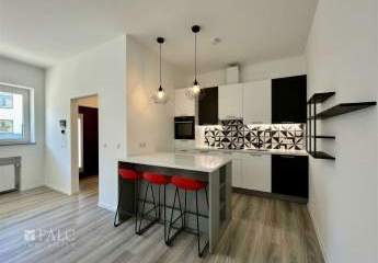 477692-Vorschaubild4