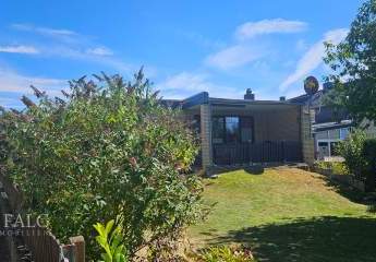 453918-Vorschaubild4