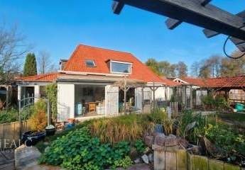 467298-Vorschaubild2