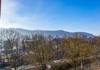 402443-Vorschaubild4