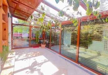 373363-Vorschaubild4