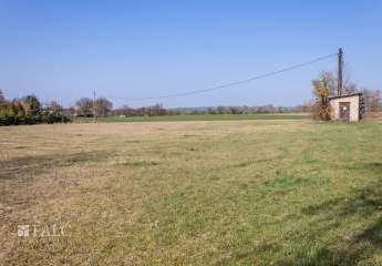 483045-Vorschaubild3