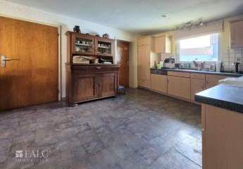 456976-Vorschaubild4