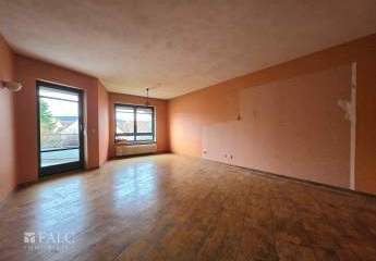 484731-Vorschaubild3