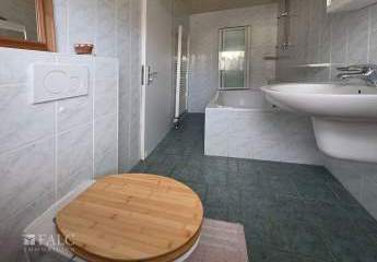 485905-Vorschaubild4