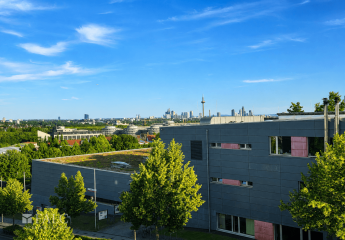 493799-Vorschaubild3