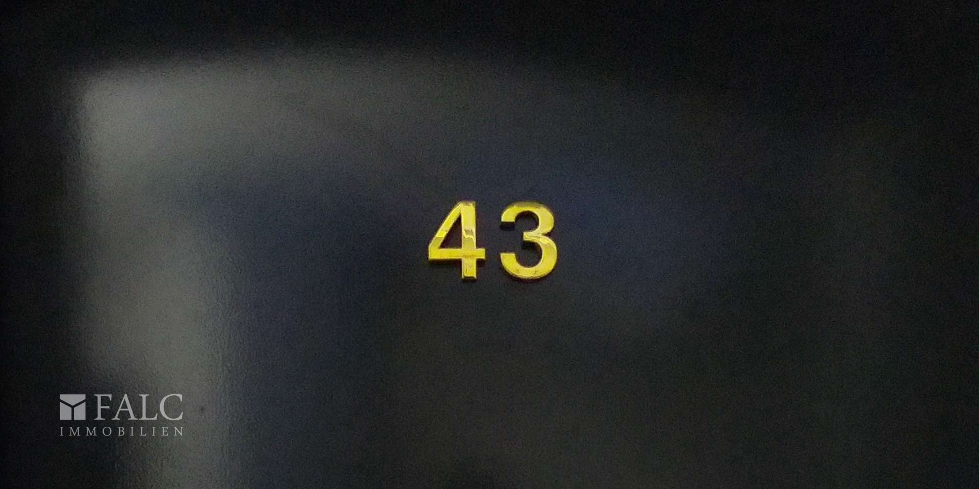 389372-Vorschaubild3