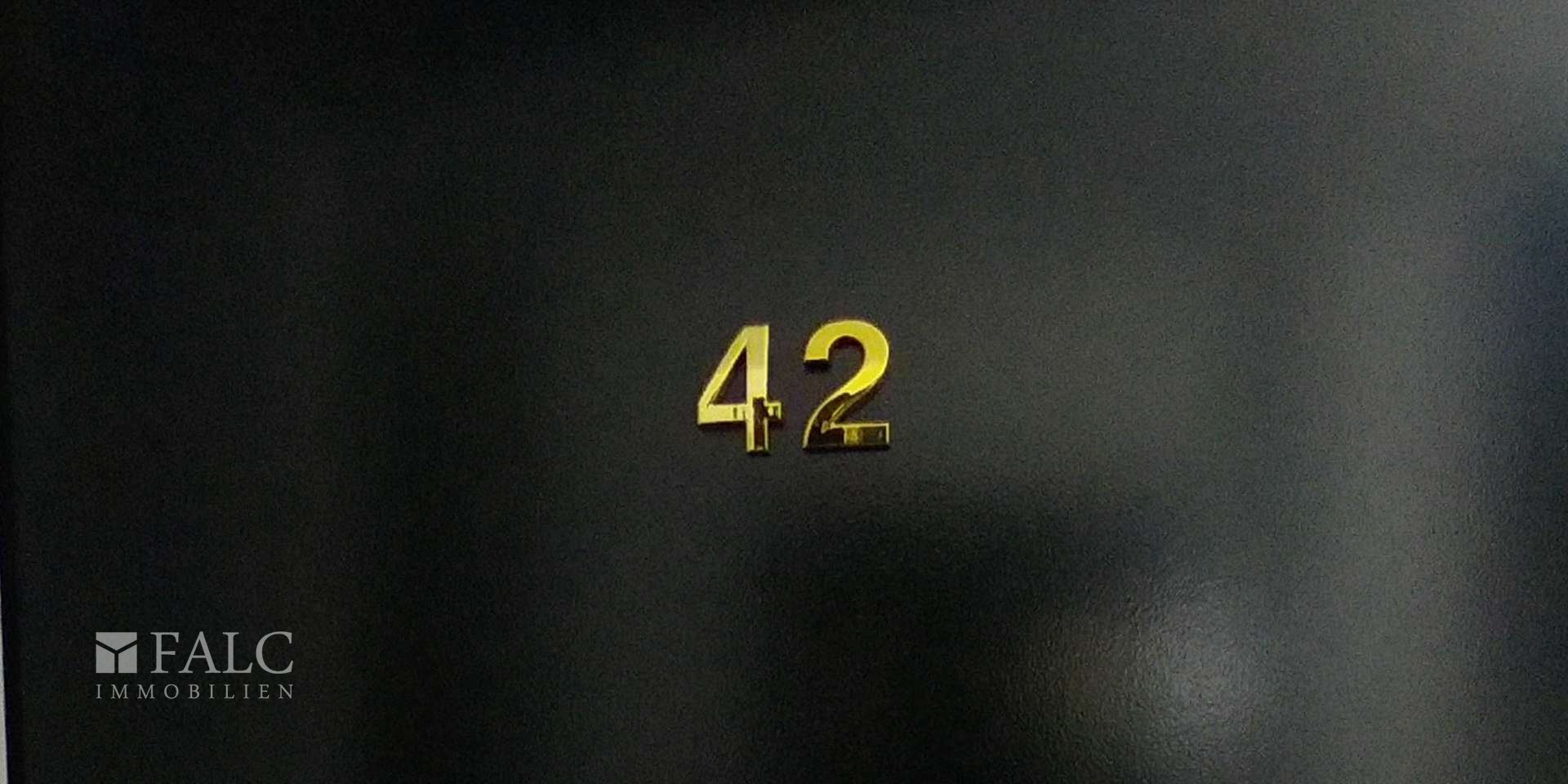 389289-Vorschaubild3