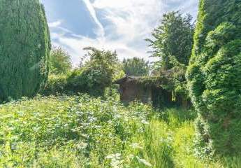423931-Vorschaubild3