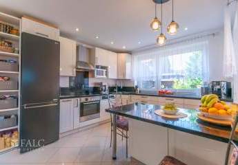 441673-Vorschaubild4