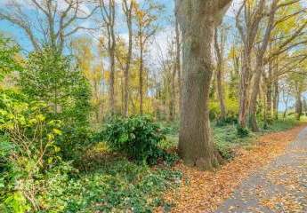 458186-Vorschaubild2