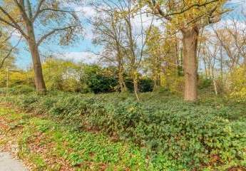 458186-Vorschaubild3