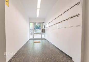 449295-Vorschaubild2