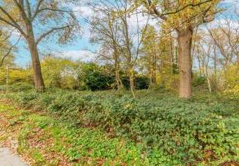 458186-Vorschaubild3