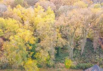 458186-Vorschaubild4