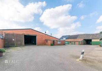 412386-Vorschaubild3