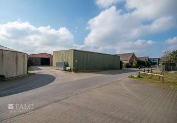 412386-Vorschaubild4