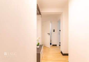 389372-Vorschaubild3