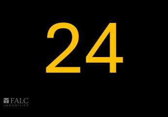 390093-Vorschaubild2