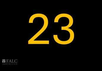 390092-Vorschaubild2