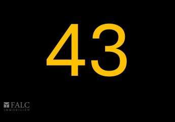 389373-Vorschaubild2