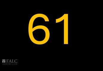 388558-Vorschaubild2