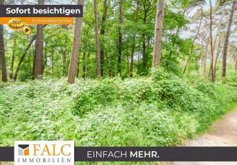 Waldareal in gewachsener Naturkulisse