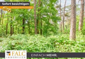 Ein Stück Holter Heide fürs eigene Portfolio