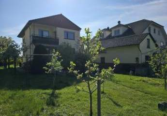 410405-Vorschaubild2