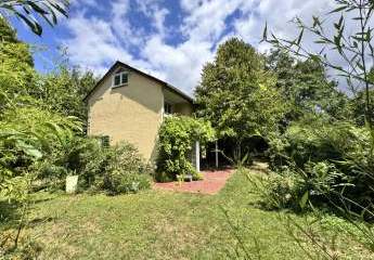 432420-Vorschaubild3