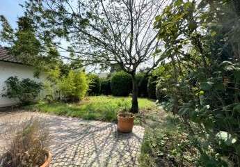 437529-Vorschaubild2