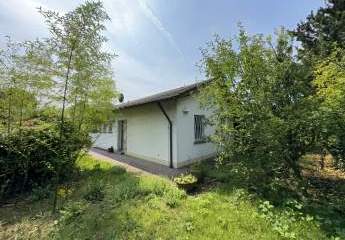 437529-Vorschaubild4