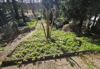 471165-Vorschaubild2