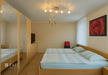 448529-Vorschaubild4