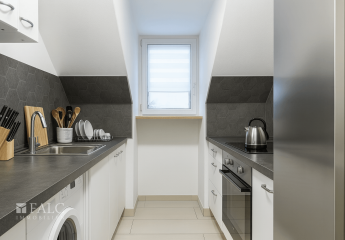 466152-Vorschaubild4