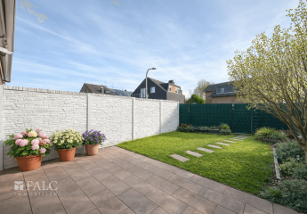 472530-Vorschaubild3