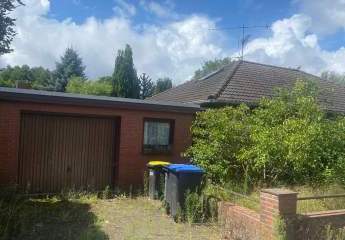 443126-Vorschaubild4