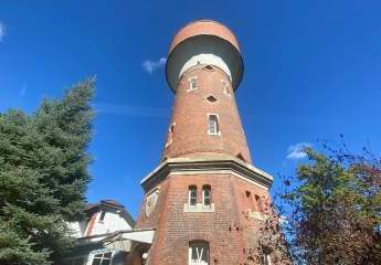 448696-Vorschaubild3