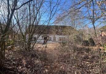 477700-Vorschaubild2