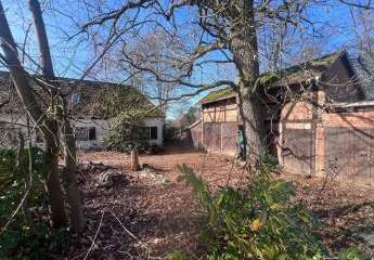 477700-Vorschaubild3