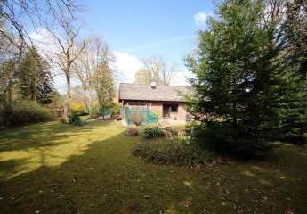 485407-Vorschaubild3