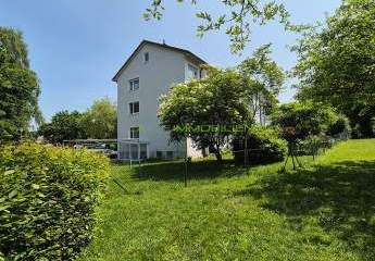 427838-Vorschaubild2