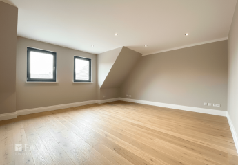 466159-Vorschaubild3