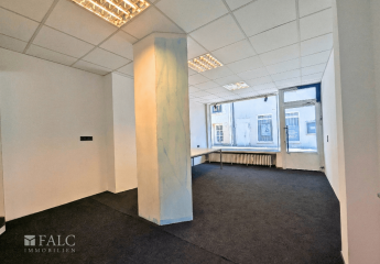 475527-Vorschaubild4