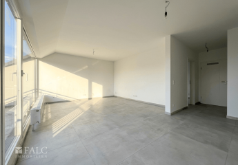 480984-Vorschaubild3