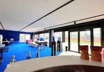 484017-Vorschaubild2