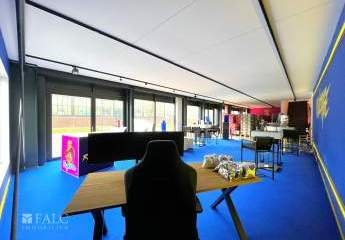 484017-Vorschaubild4