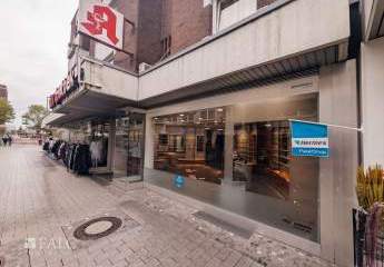 484205-Vorschaubild4